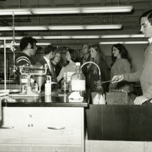 fau_82813-Thumbnail Image.jpg