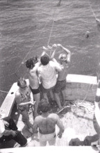 fau_82823-Thumbnail Image.jpg