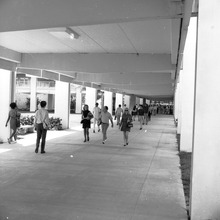 fau_82827-Thumbnail Image.jpg