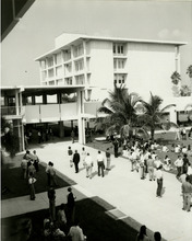 fau_82830-Thumbnail Image.jpg