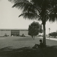 fau_82834-Thumbnail Image.jpg