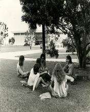 fau_82836-Thumbnail Image.jpg