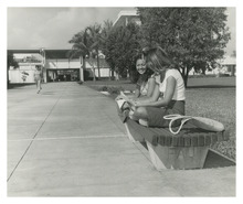 fau_82848-Thumbnail Image.jpg