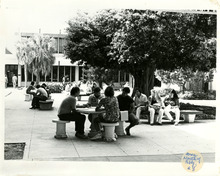 fau_82851-Thumbnail Image.jpg