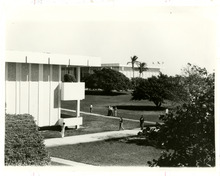 fau_82852-Thumbnail Image.jpg