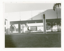 fau_82856-Thumbnail Image.jpg