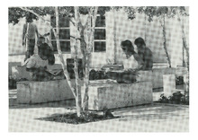 fau_82858-Thumbnail Image.jpg