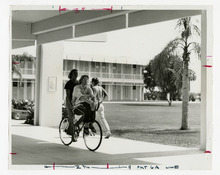 fau_82862-Thumbnail Image.jpg