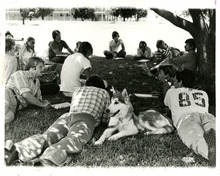 fau_82868-Thumbnail Image.jpg