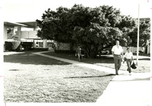 fau_82869-Thumbnail Image.jpg