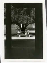 fau_82886-Thumbnail Image.jpg