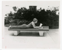 fau_82969-Thumbnail Image.jpg