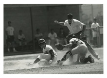 fau_84402-Thumbnail Image.jpg