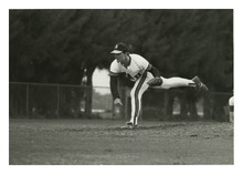 fau_84403-Thumbnail Image.jpg