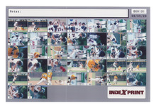 fau_84404-Thumbnail Image.jpg