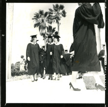 fau_84873-Thumbnail Image.jpg