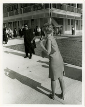 fau_84895-Thumbnail Image.jpg