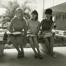 fau_85123-Thumbnail Image.jpg