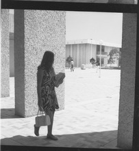 fau_85138-Thumbnail Image.jpg