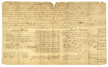 fau_96338-Thumbnail Image.jpg