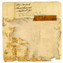 fau_96441-Thumbnail Image.jpg