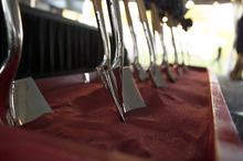 fau_96458-Thumbnail Image.jpg