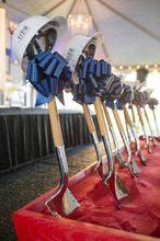 fau_96460-Thumbnail Image.jpg