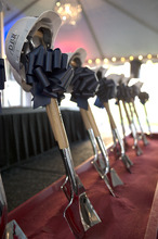 fau_96461-Thumbnail Image.jpg