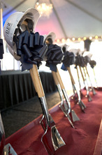 fau_96462-Thumbnail Image.jpg