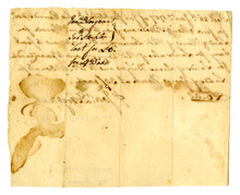 fau_96564-Thumbnail Image.jpg