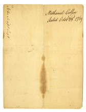 fau_96594-Thumbnail Image.jpg